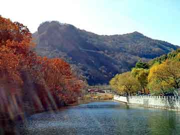 管家婆黑白马报图库，松香甘油酯